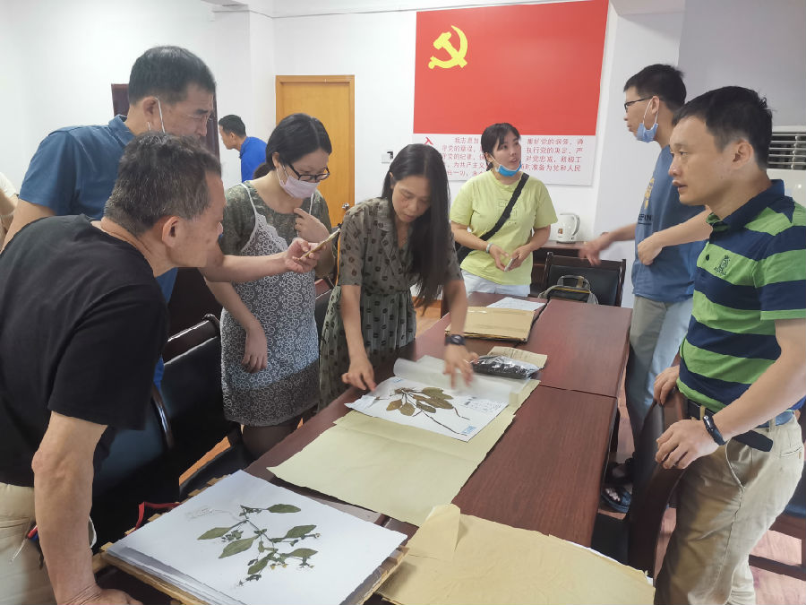 6月22日莆田市综合调研评估会现场 2.jpg
